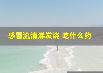 感冒流清涕发烧 吃什么药